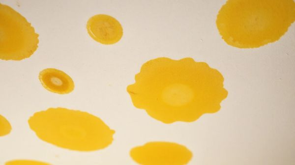 Top solutions pour éliminer les taches jaunes au plafond